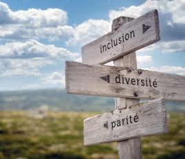 Inclusion, diversité & parité.