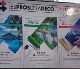 "Les Pros de la déco" - FND.