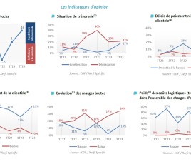 Indicateurs d'opinion CGF