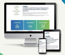 Site internet de Coédis.