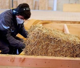 Production de bottes de paille isolantes.