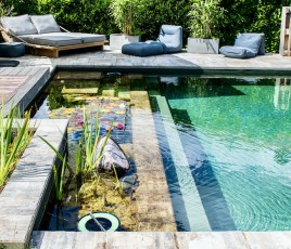 Vue d'une piscine naturelle chez un particulier.