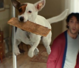 Spot publicitaire de Castorama France, juillet 2025.