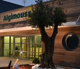 Siège social du fabricant Algimouss.