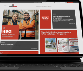 Site E-commerce du groupement Starmat.