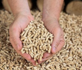 Pellets granulés de bois dans des mains