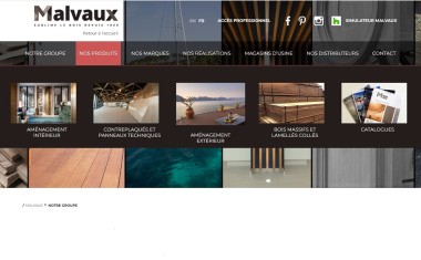 Groupe Malvaux, home page web.