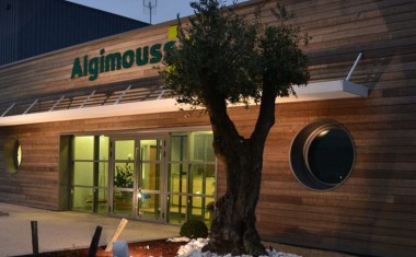 Siège social du fabricant Algimouss.