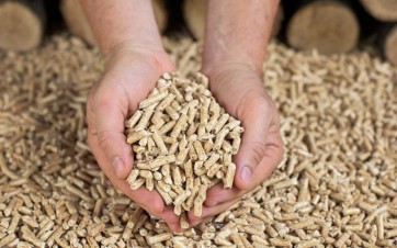 Pellets granulés de bois dans des mains