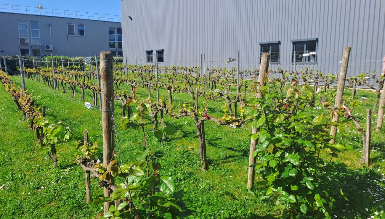Mejac reportage usine 7