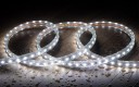ledkia