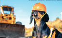 Vols sur les chantiers dans le BTP.