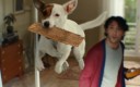 Spot publicitaire de Castorama France, juillet 2025.