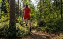 Coureur en forêt