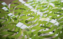 Trophées "Best Managed Companies" décernés par le cabinet Deloitte.