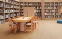 Sols LVT